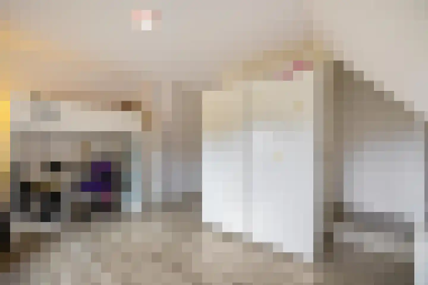 Appelakkers 5 Annen thumbnail 59