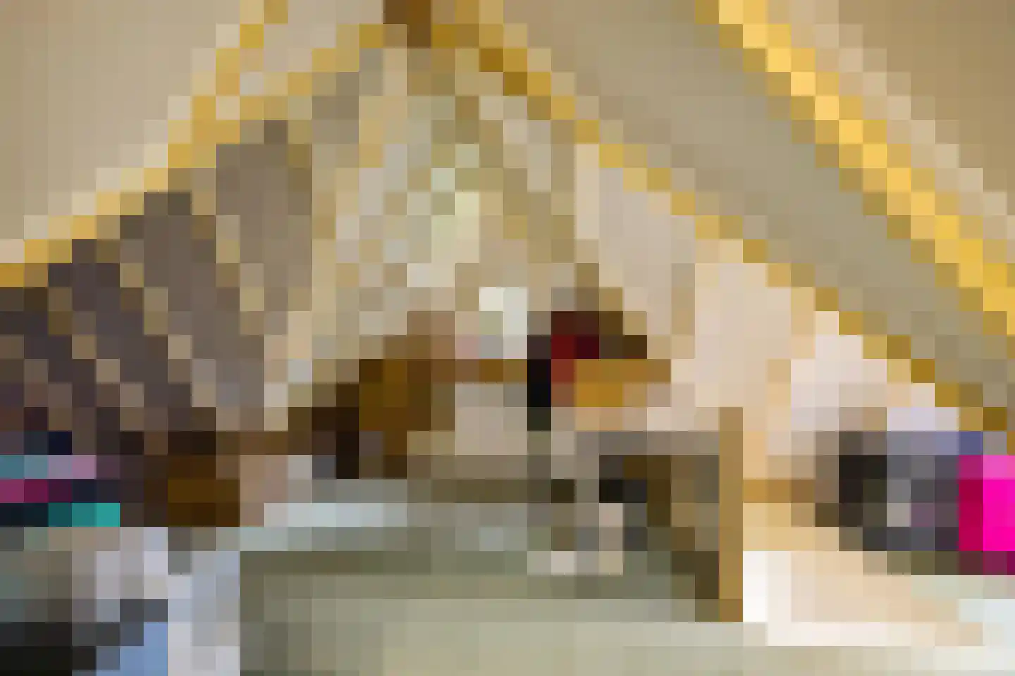Appelakkers 5 Annen thumbnail 61