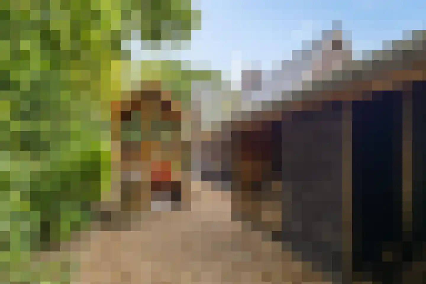 Appelakkers 5 Annen thumbnail 66
