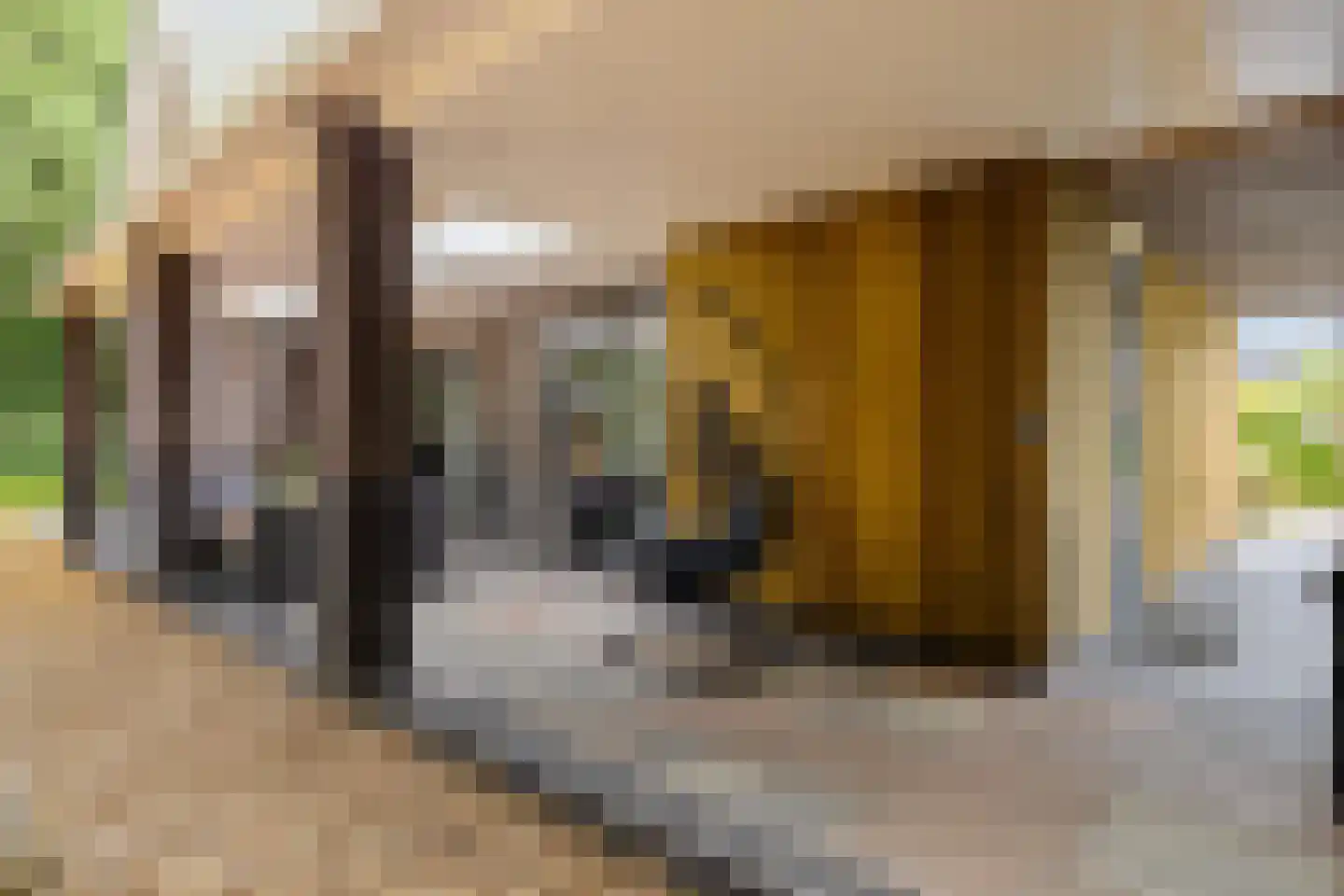Appelakkers 5 Annen thumbnail 67