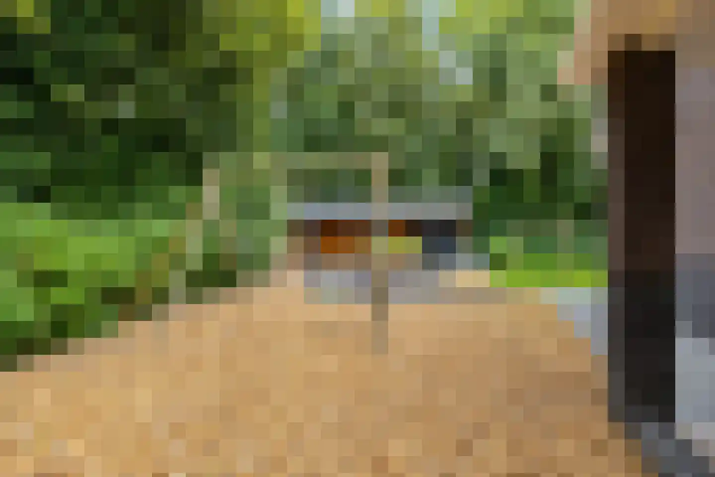 Appelakkers 5 Annen thumbnail 70