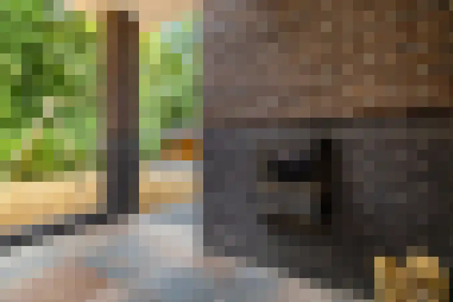 Appelakkers 5 Annen thumbnail 73