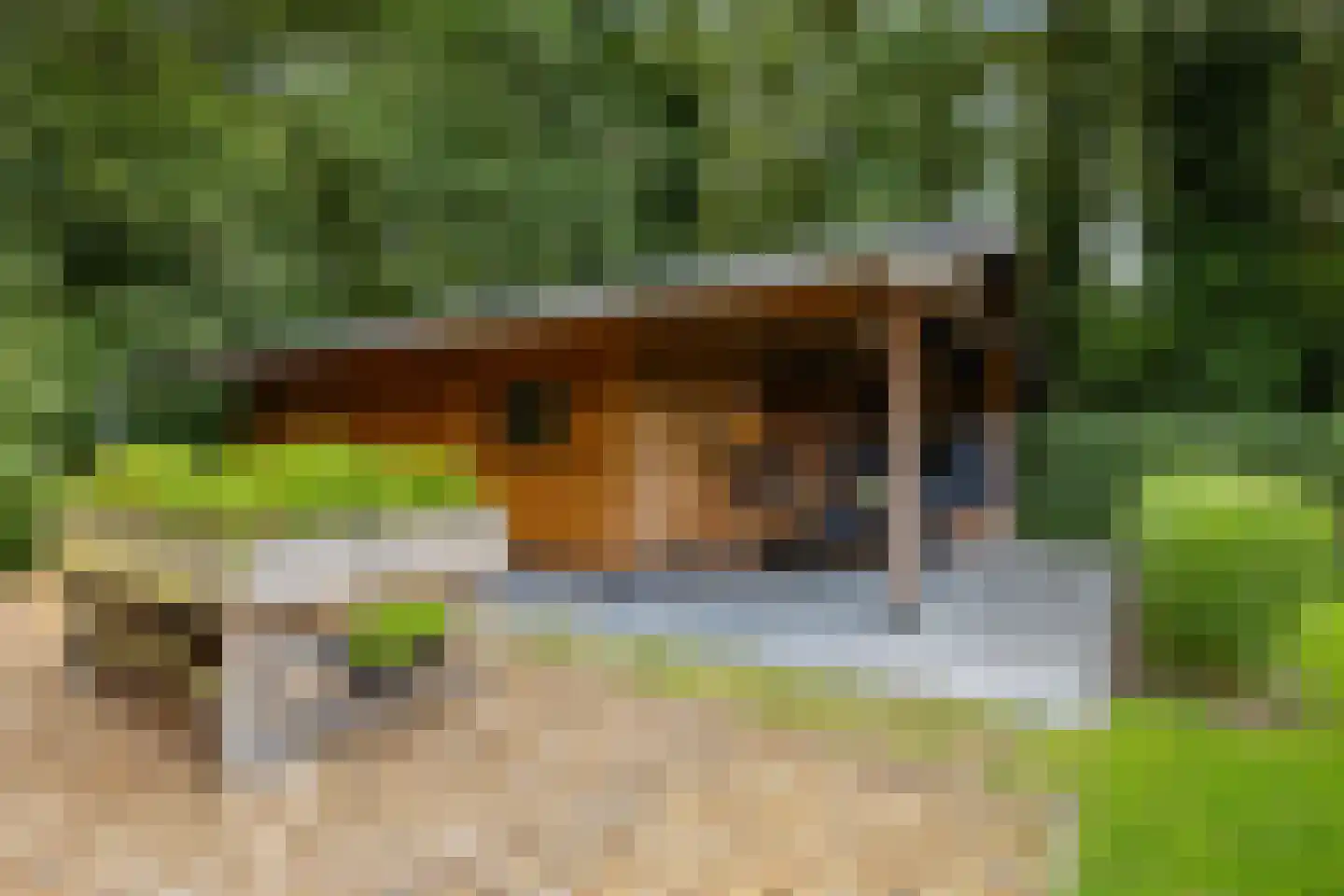 Appelakkers 5 Annen thumbnail 74