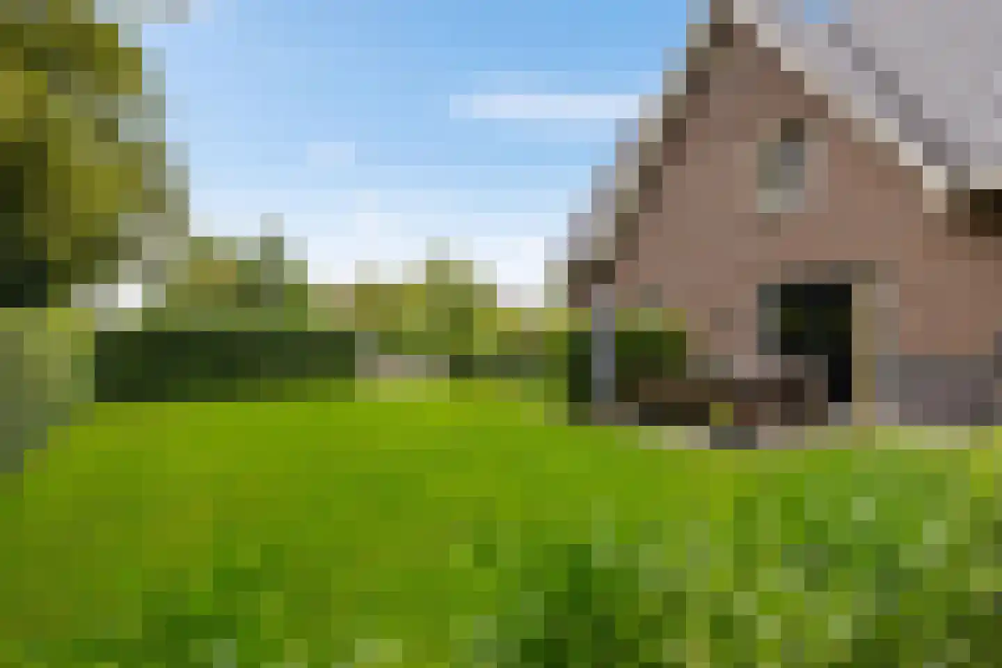 Appelakkers 5 Annen thumbnail 78