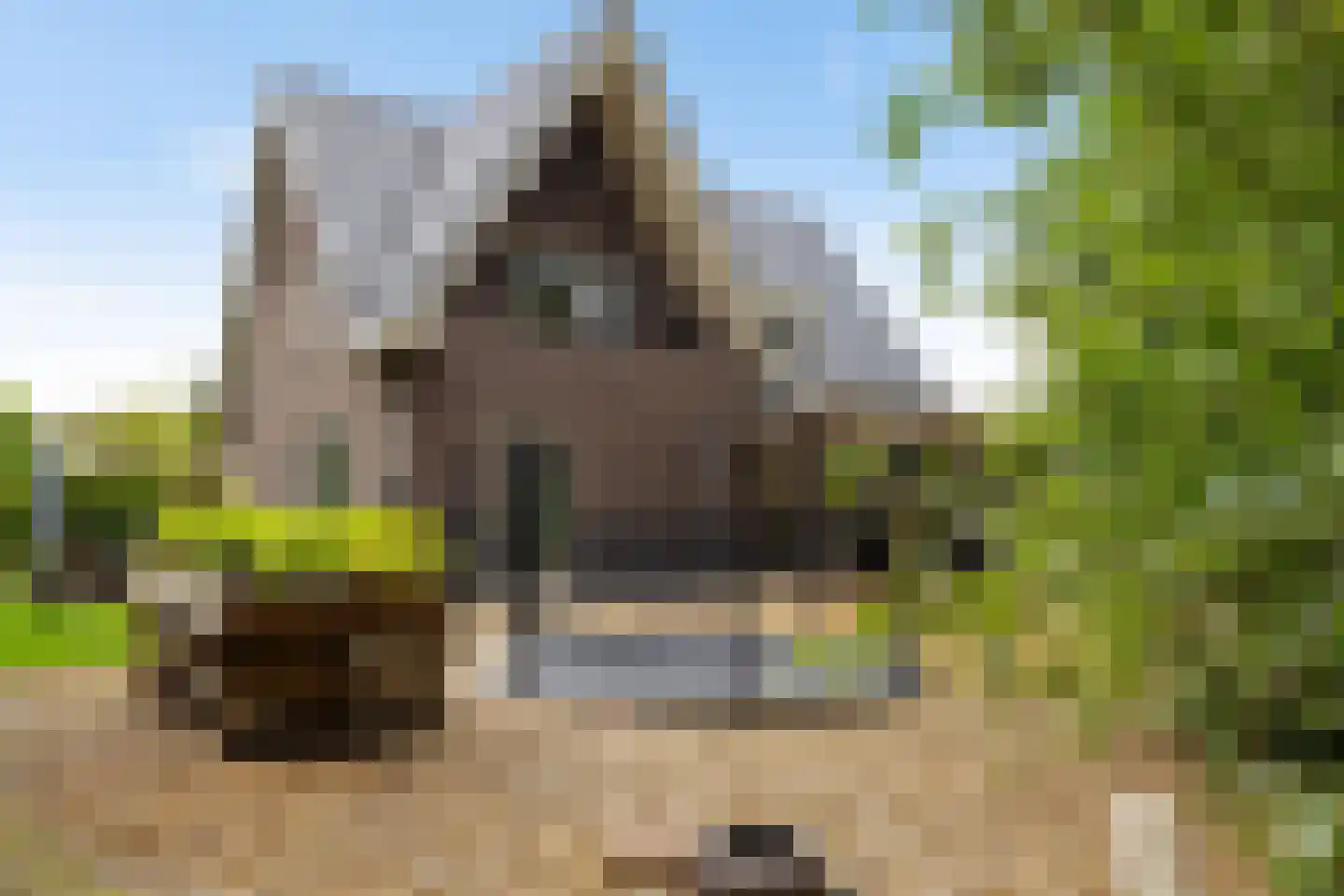 Appelakkers 5 Annen thumbnail 80