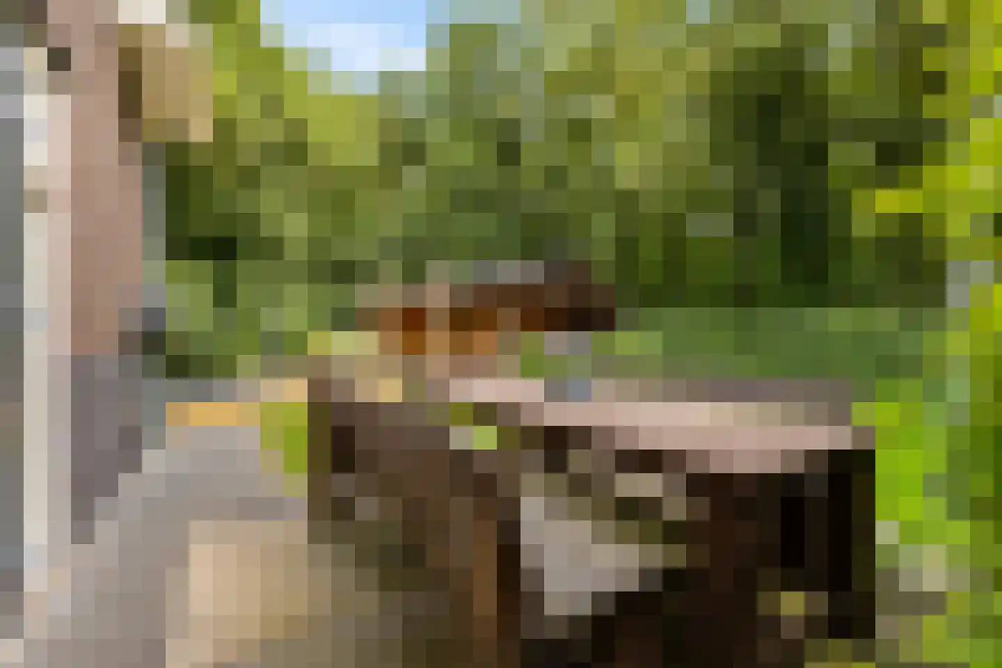 Appelakkers 5 Annen thumbnail 83