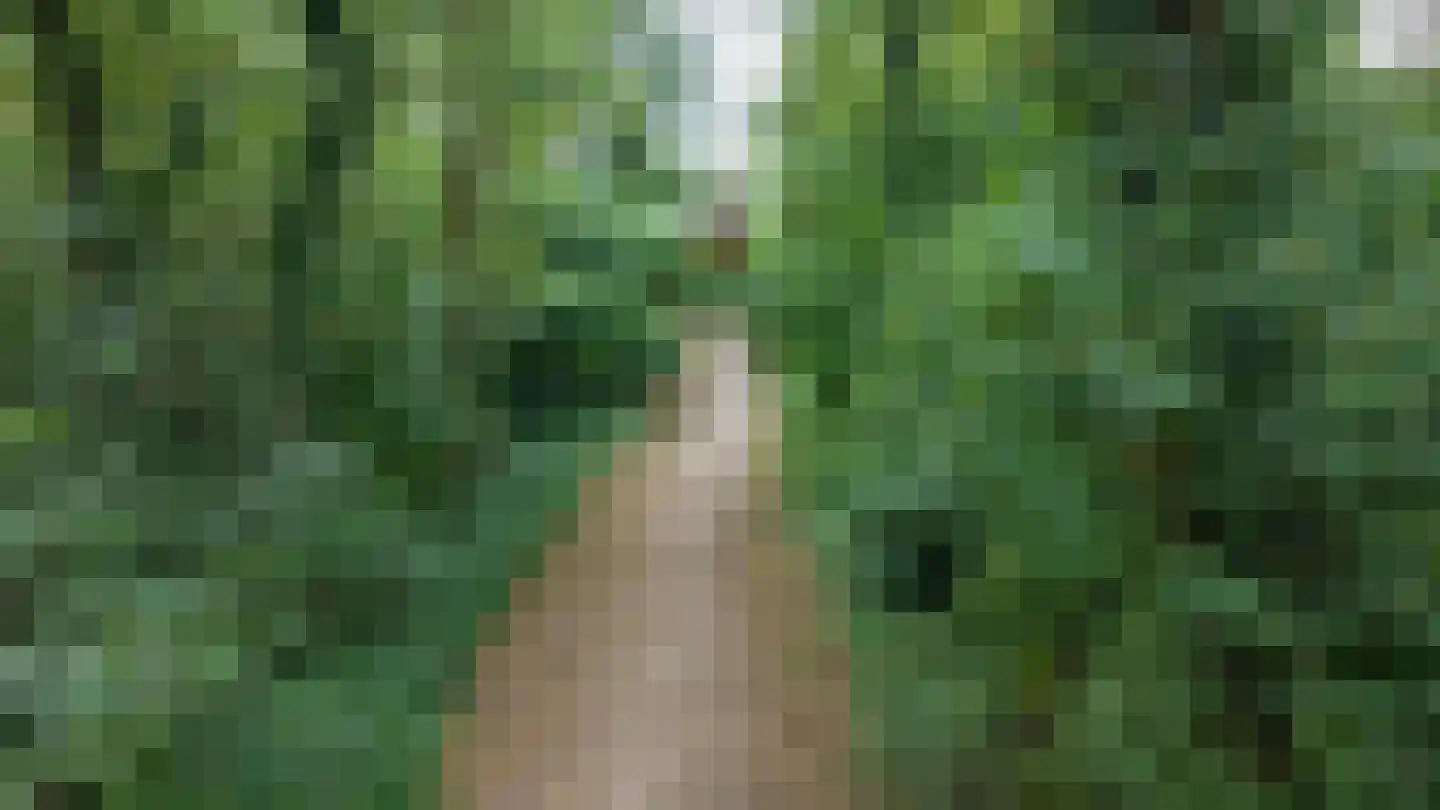 Appelakkers 5 Annen thumbnail 84