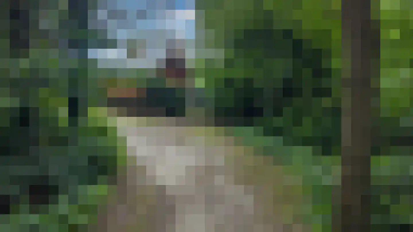 Appelakkers 5 Annen thumbnail 85