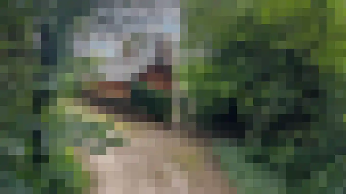 Appelakkers 5 Annen thumbnail 86