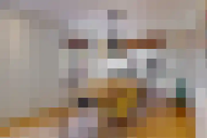 Appelbes 8 Leiden thumbnail 10