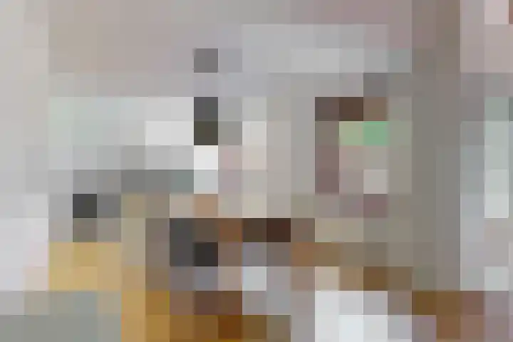 Appelbes 8 Leiden thumbnail 11