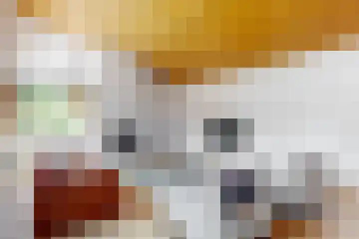 Appelbes 8 Leiden thumbnail 12