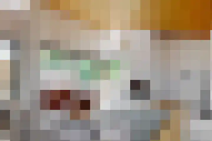 Appelbes 8 Leiden thumbnail 13