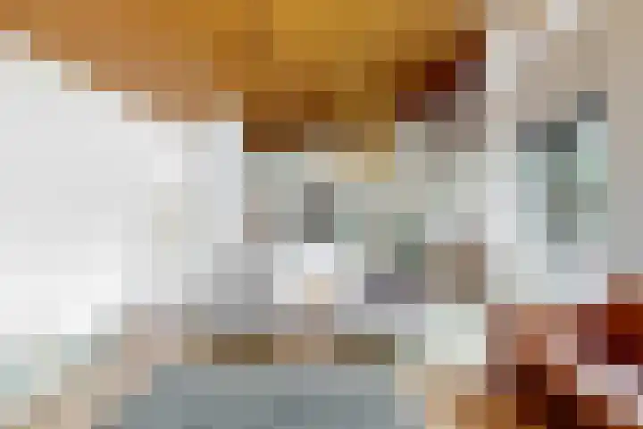 Appelbes 8 Leiden thumbnail 14