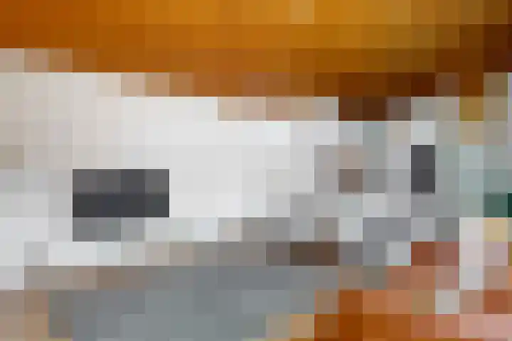 Appelbes 8 Leiden thumbnail 15