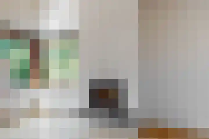 Appelbes 8 Leiden thumbnail 16