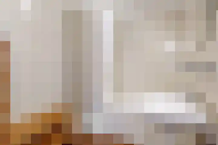 Appelbes 8 Leiden thumbnail 17