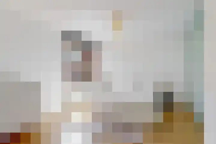 Appelbes 8 Leiden thumbnail 20