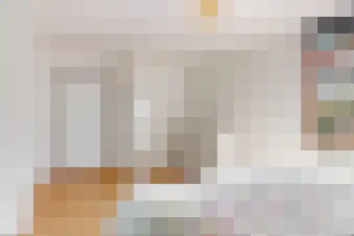 Appelbes 8 Leiden thumbnail 21