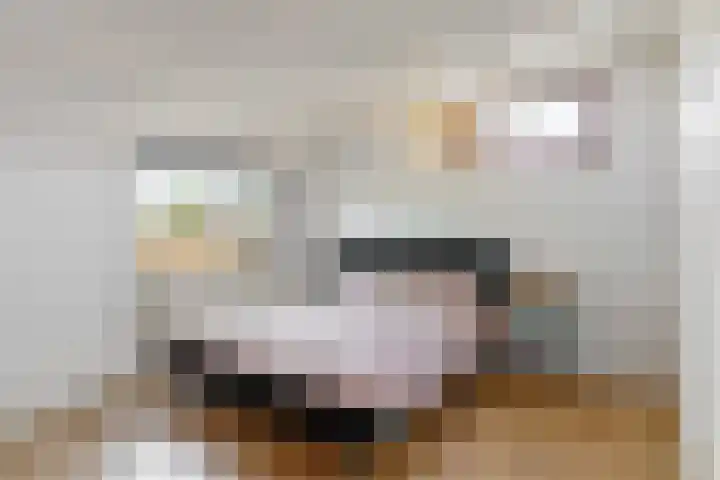 Appelbes 8 Leiden thumbnail 26