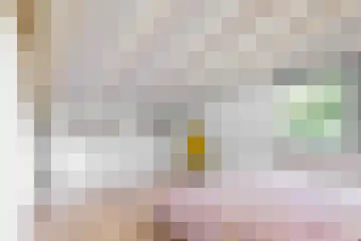 Appelbes 8 Leiden thumbnail 28