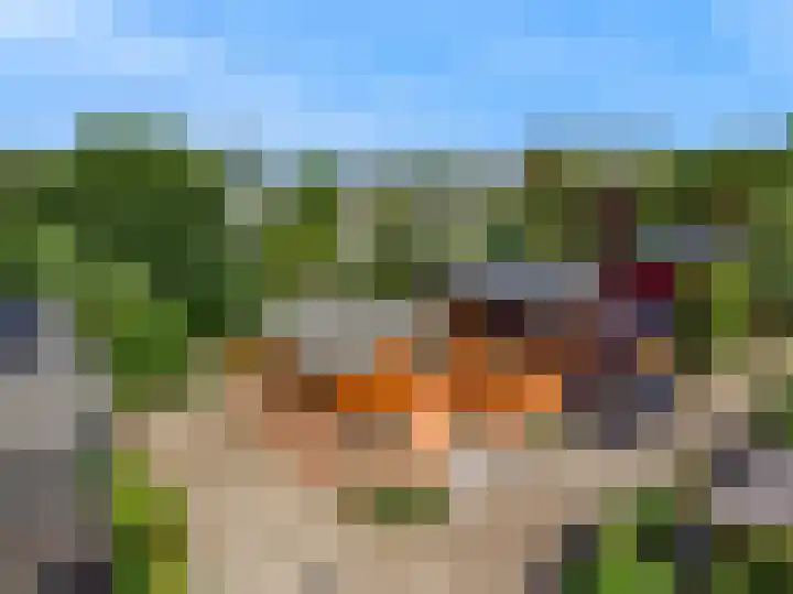 Appelbes 8 Leiden thumbnail 29
