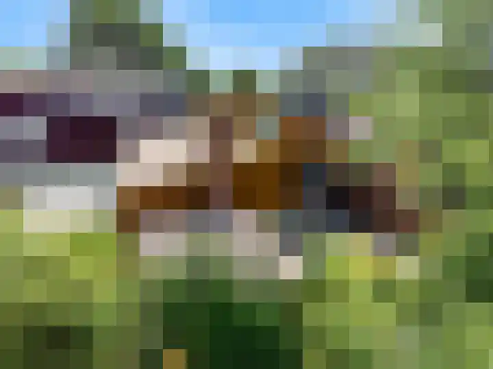 Appelbes 8 Leiden thumbnail 30