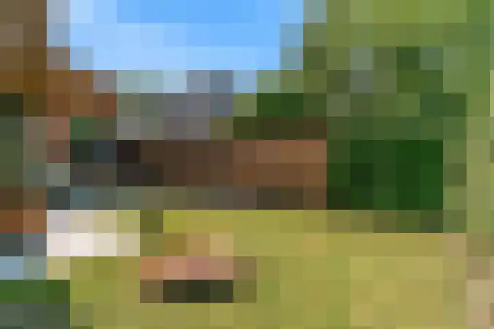 Appelbes 8 Leiden thumbnail 31
