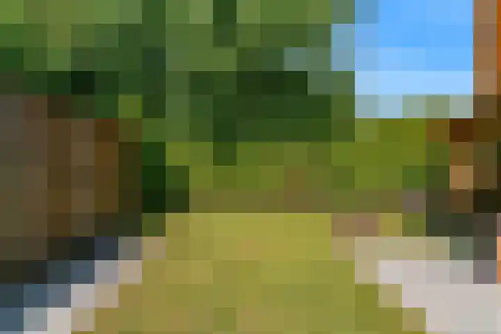 Appelbes 8 Leiden thumbnail 32