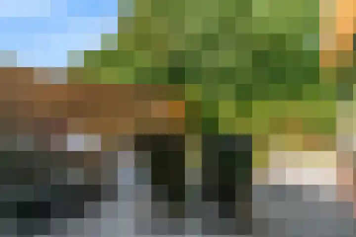 Appelbes 8 Leiden thumbnail 35