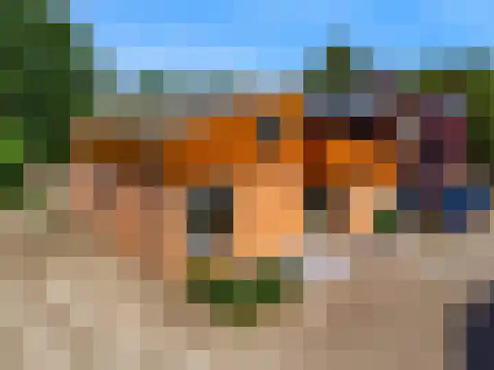 Appelbes 8 Leiden thumbnail 38