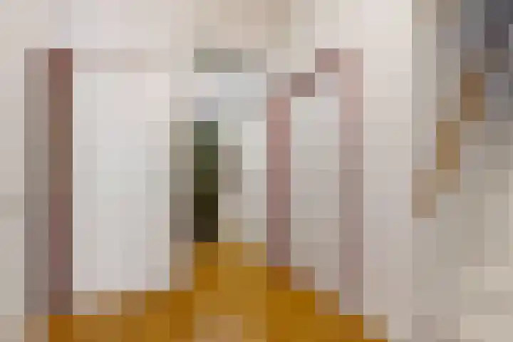 Appelbes 8 Leiden thumbnail 4