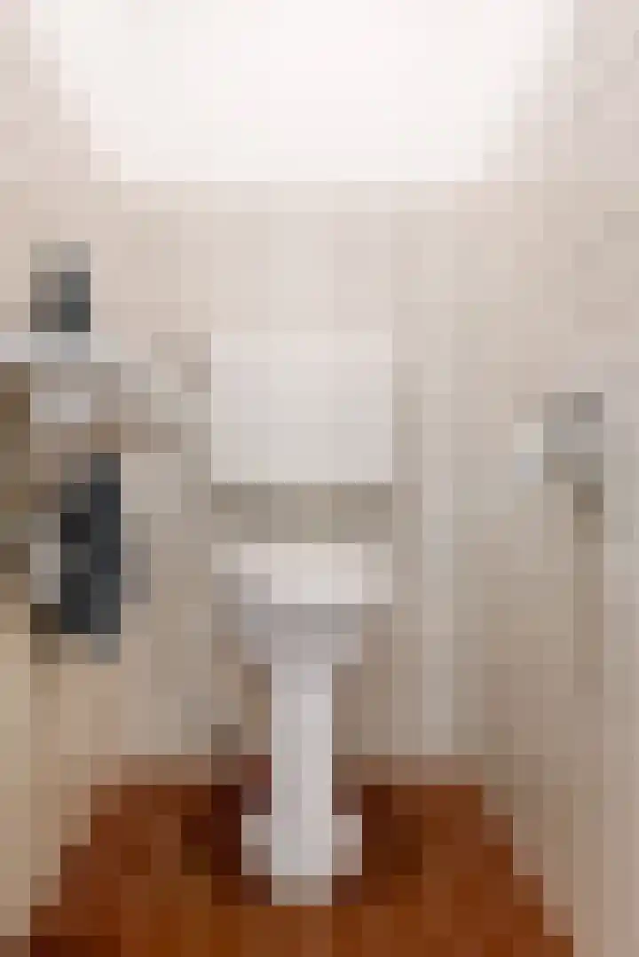 Appelbes 8 Leiden thumbnail 5
