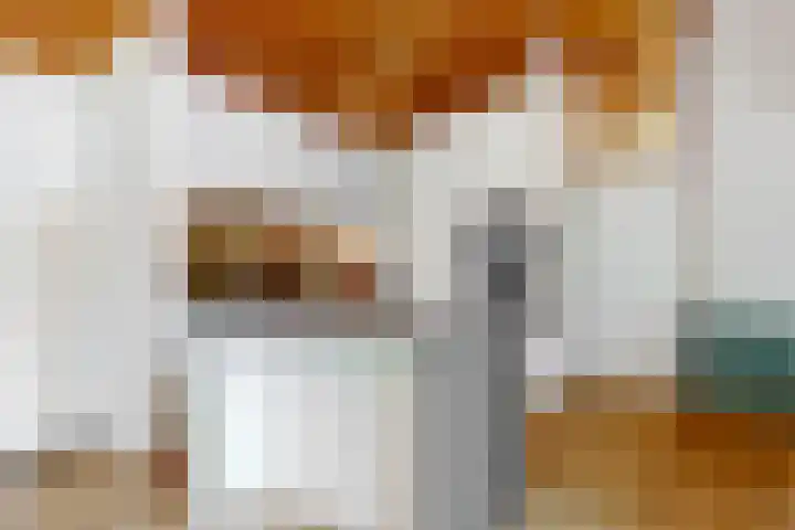 Appelbes 8 Leiden thumbnail 6