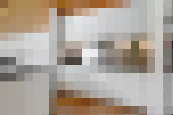 Appelbes 8 Leiden thumbnail 7