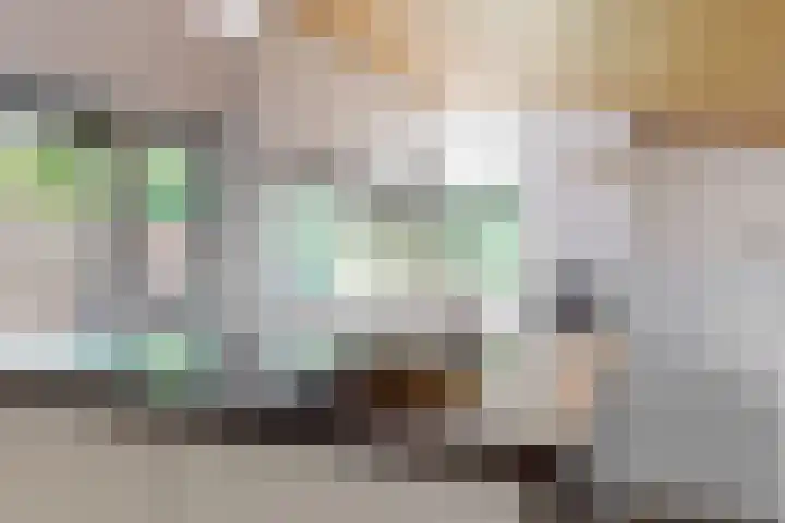 Appelbes 8 Leiden thumbnail 8