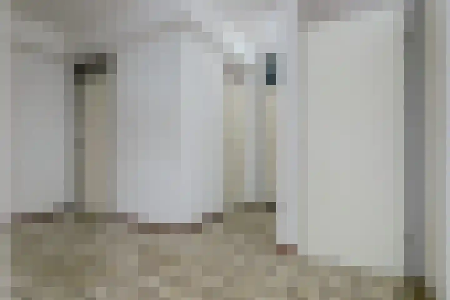 Appelbesstraat 4 Venlo thumbnail 11