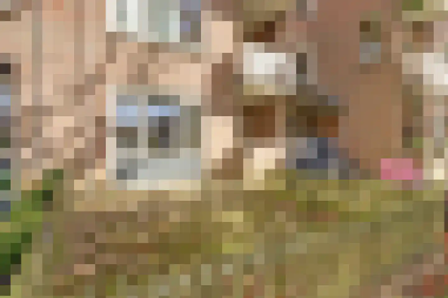 Appelbesstraat 4 Venlo thumbnail 5