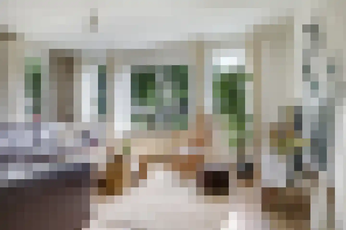 Appelbloesem 1 Doetinchem thumbnail 11