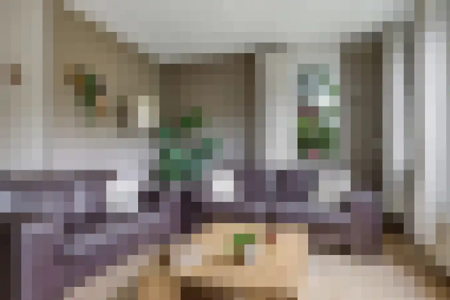 Appelbloesem 1 Doetinchem thumbnail 12