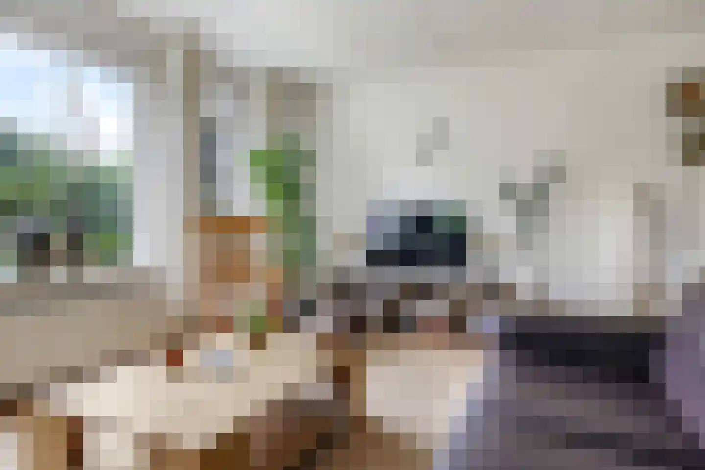 Appelbloesem 1 Doetinchem thumbnail 13