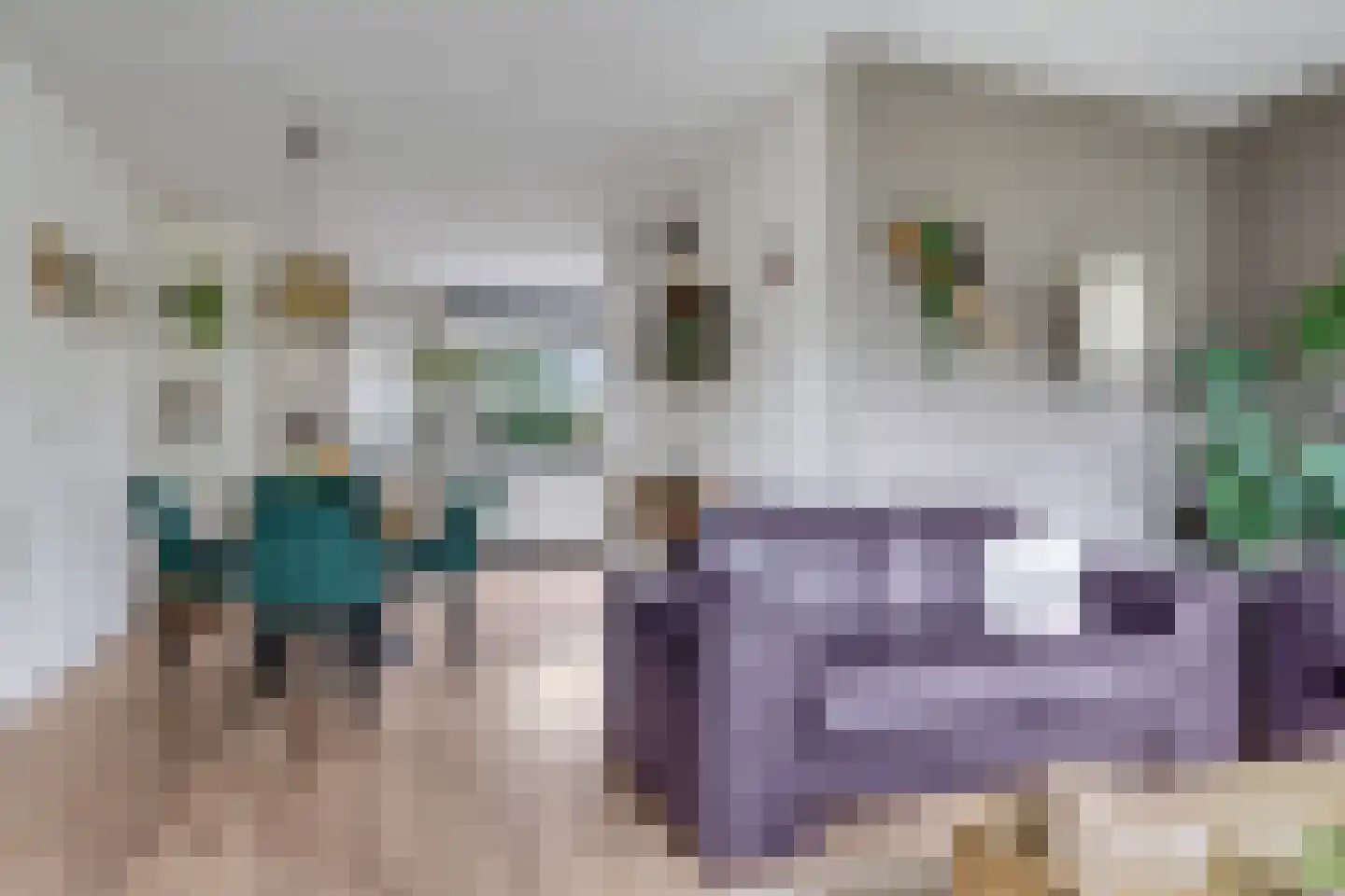 Appelbloesem 1 Doetinchem thumbnail 14