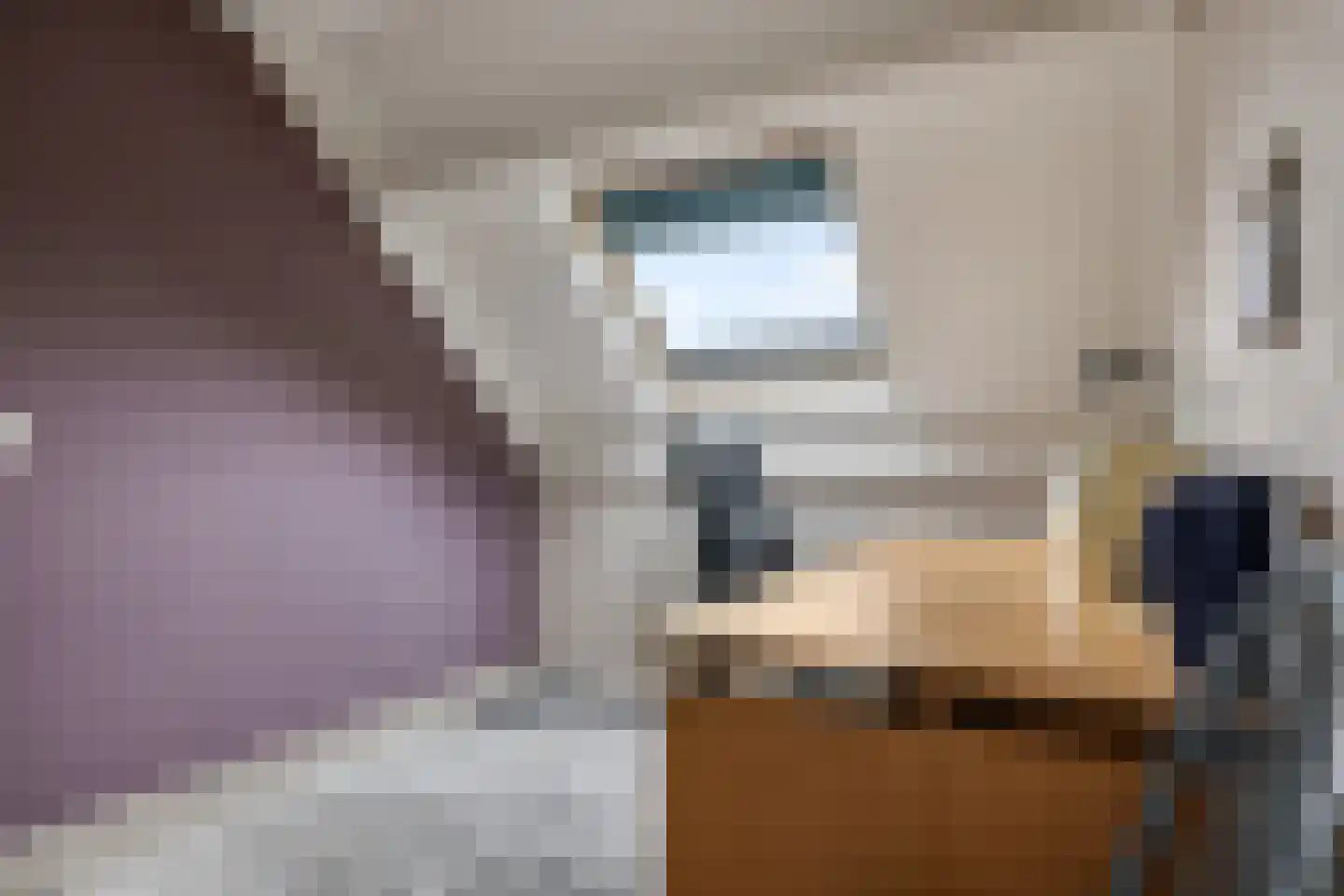 Appelbloesem 1 Doetinchem thumbnail 25