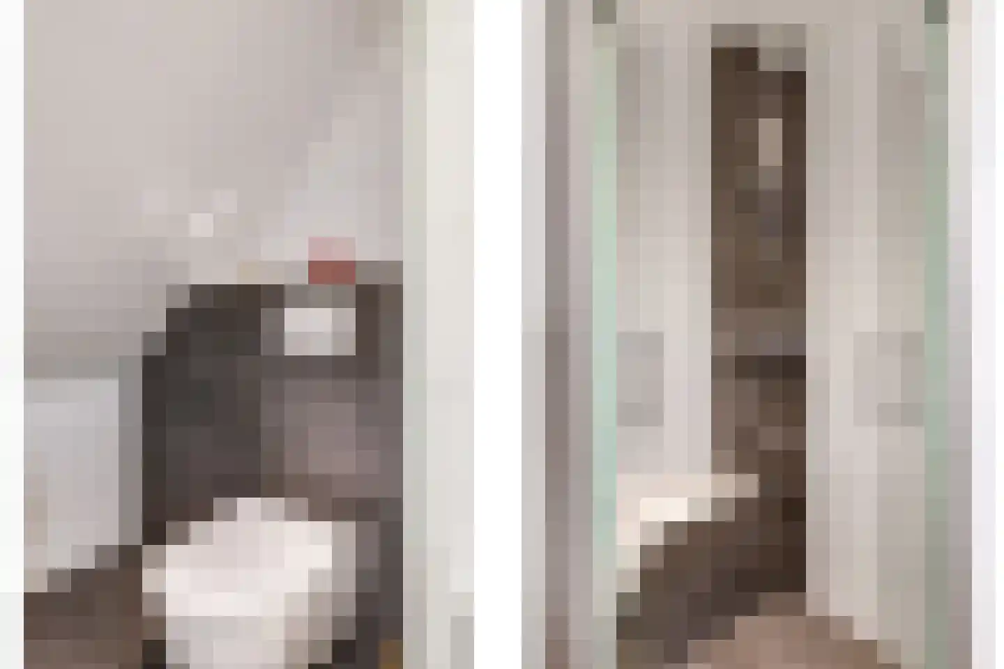 Appelbloesem 1 Doetinchem thumbnail 27
