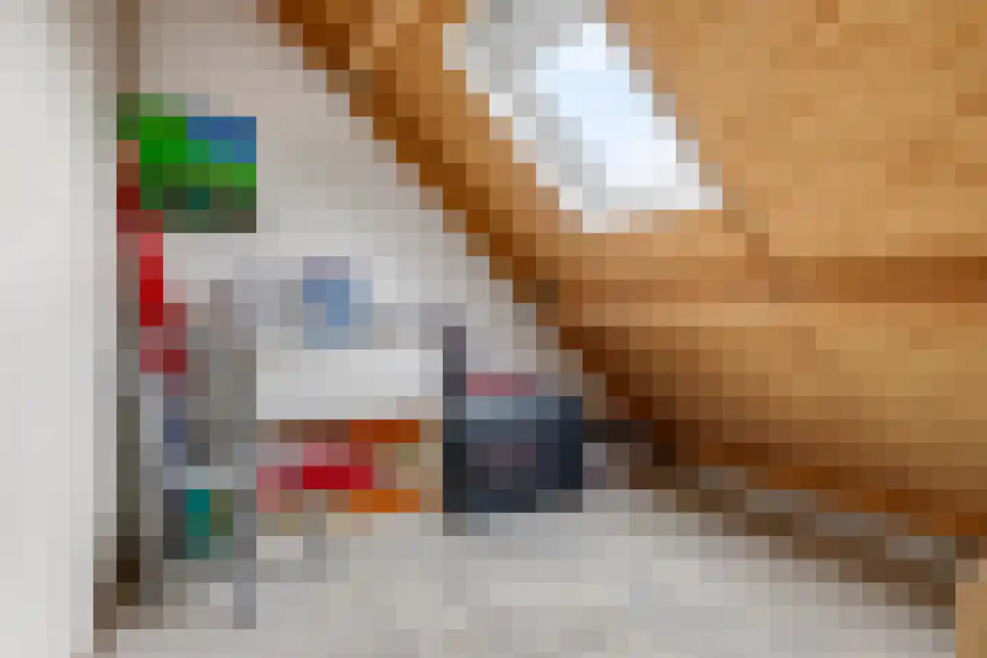 Appelbloesem 1 Doetinchem thumbnail 31