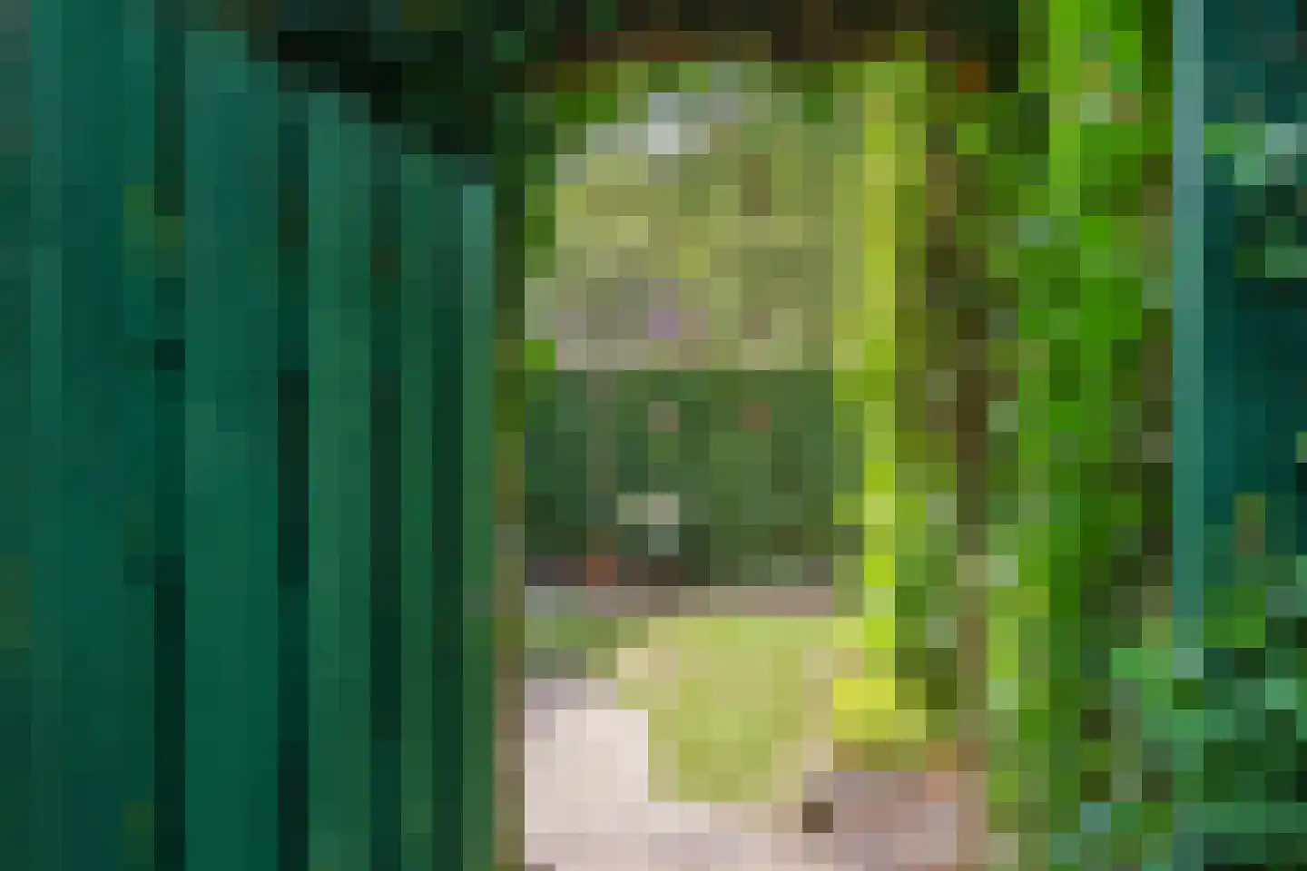 Appelbloesem 1 Doetinchem thumbnail 32