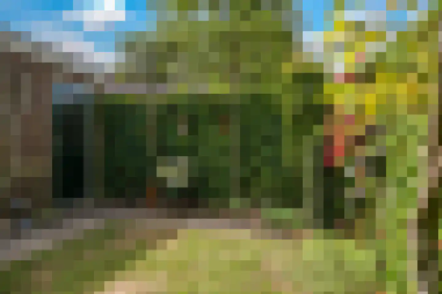 Appelbloesem 1 Doetinchem thumbnail 33
