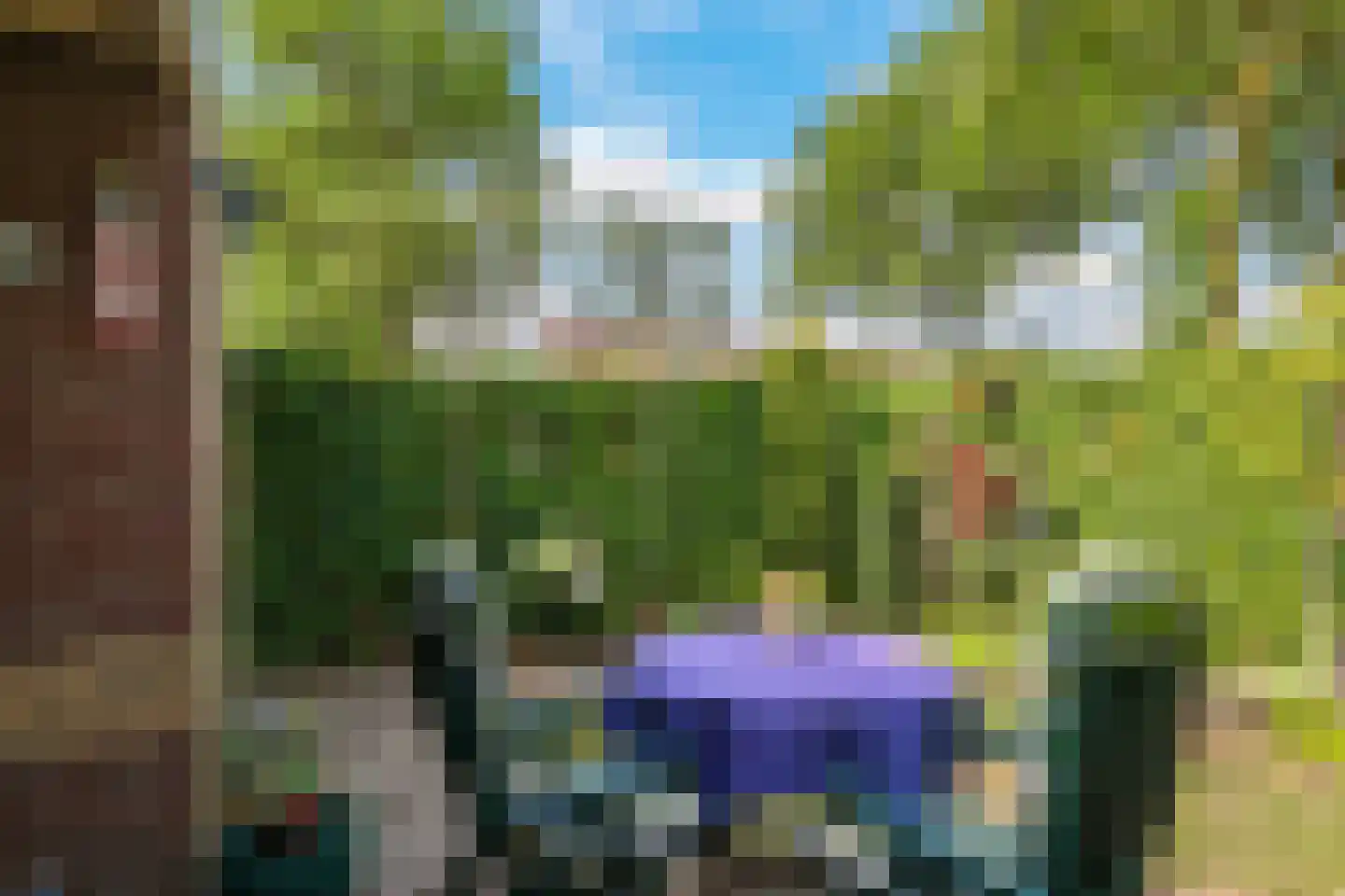 Appelbloesem 1 Doetinchem thumbnail 35