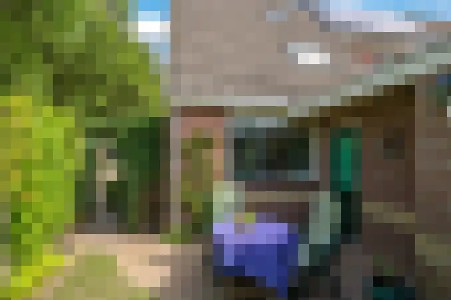 Appelbloesem 1 Doetinchem thumbnail 36