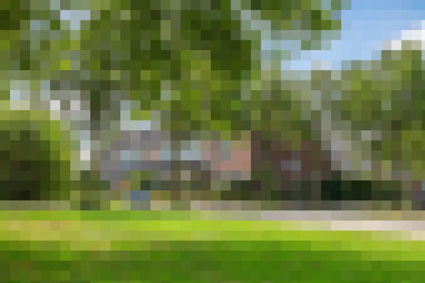 Appelbloesem 1 Doetinchem thumbnail 37